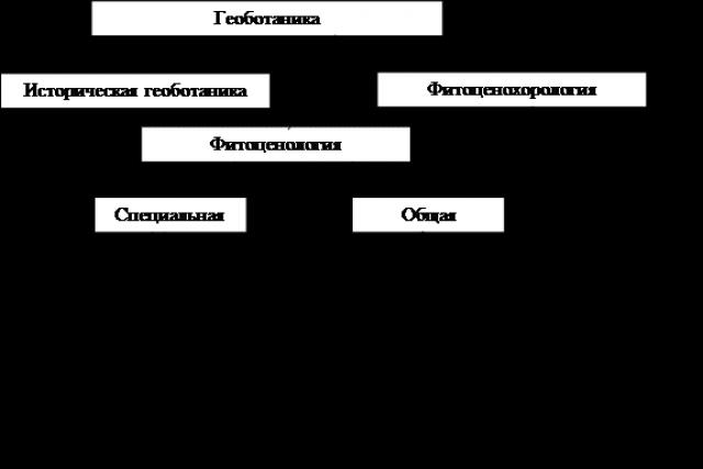 Методы геоботанических исследований введение Белорусский государственный университет