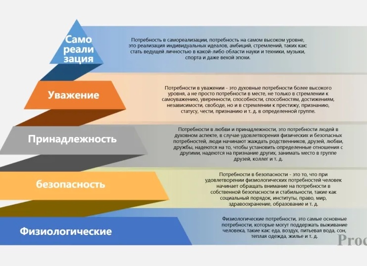 Юриспруденция начинается с мышления, а не только с кодексов