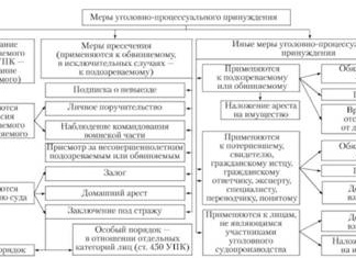 Меры уголовно-процессуального принуждения | Уголовное право